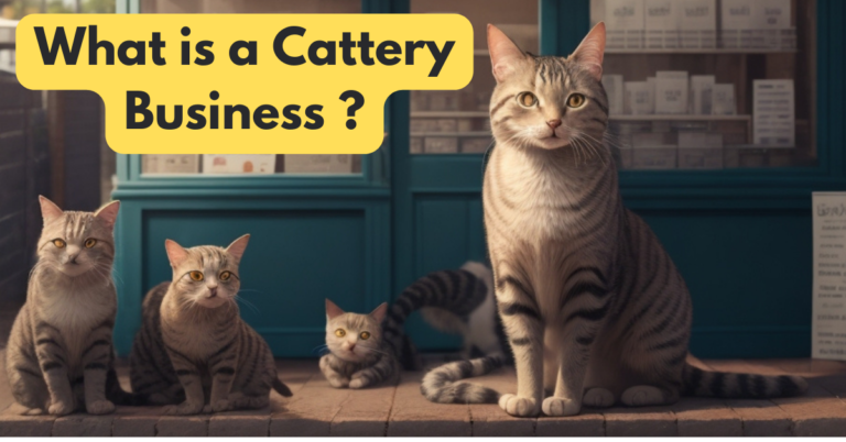 What is a Cattery Business