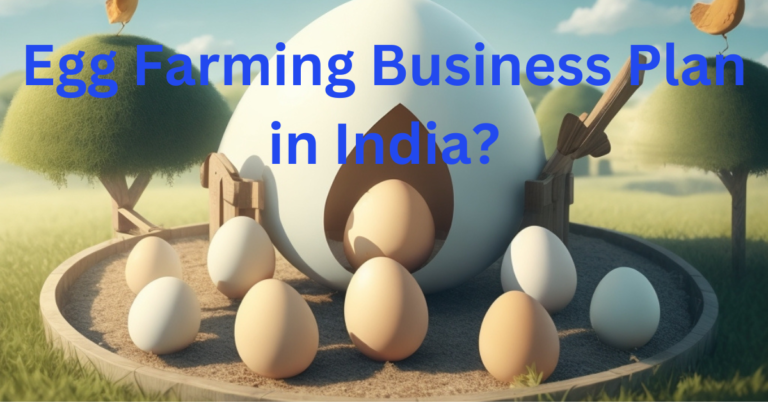 Egg Farming Business Plan in India