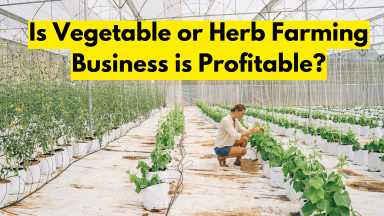 Is Vegetable or Herb Farming Business is Profitable?